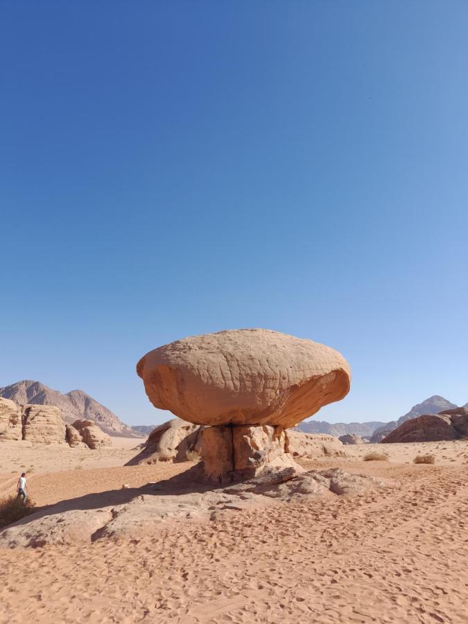 Wadi Rum Camels Camp Exterior photo